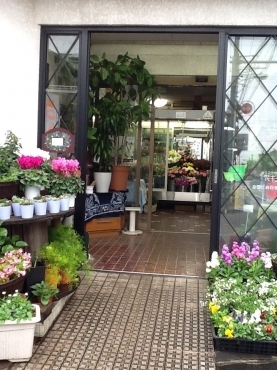 「さんふらわあ」　（埼玉県川越市）の花屋店舗写真1