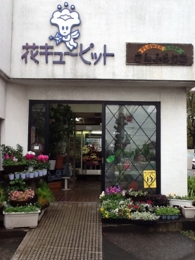 「さんふらわあ」　（埼玉県川越市）の花屋店舗写真2
